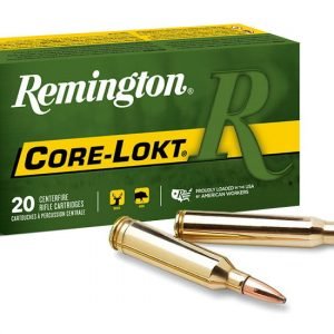 Remington Core-Lokt .30-30 Win for sale